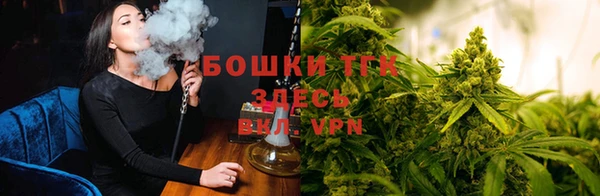 стафф Аркадак