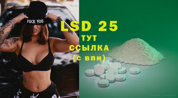 дмт Богданович