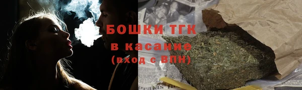 дмт Богданович