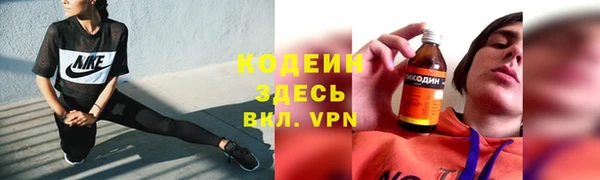 дмт Богданович