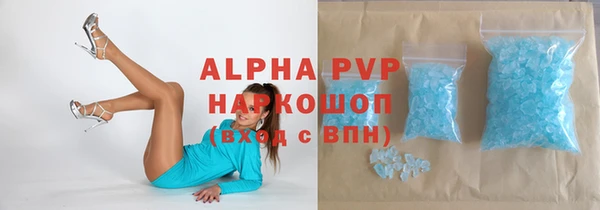 дмт Богданович