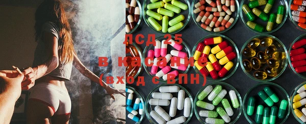 дмт Богданович
