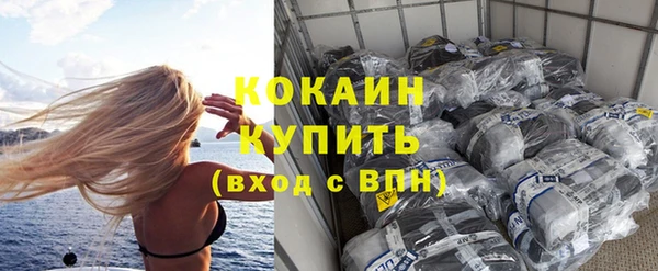 дмт Богданович