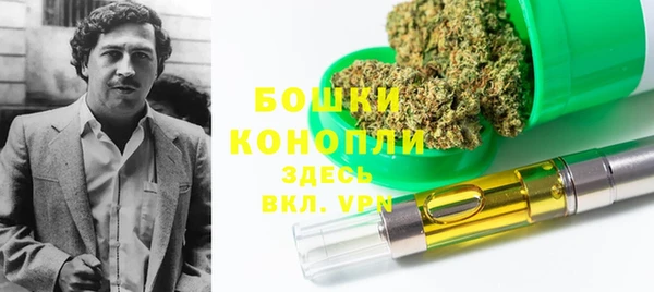 стафф Аркадак