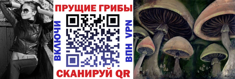 Псилоцибиновые грибы Psilocybe Колпашево