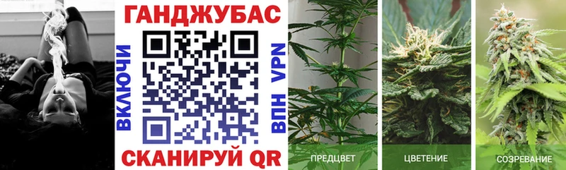 дарнет шоп  Колпашево  Шишки марихуана семена 